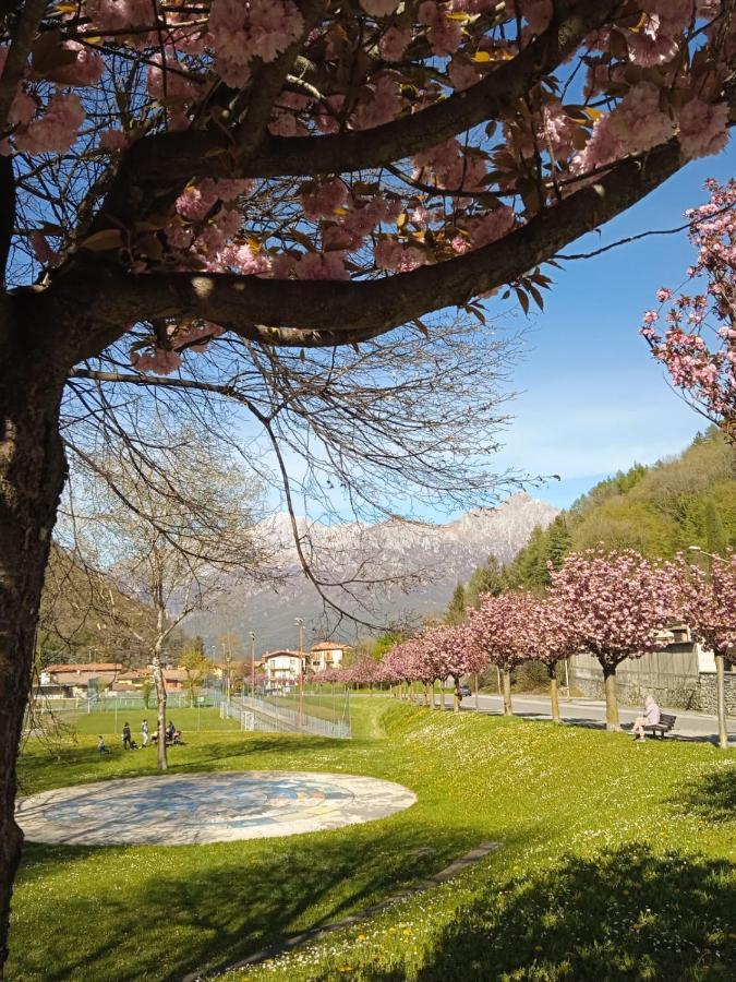 Mountains And Lake Como Apartments 瓦尔博若纳 外观 照片